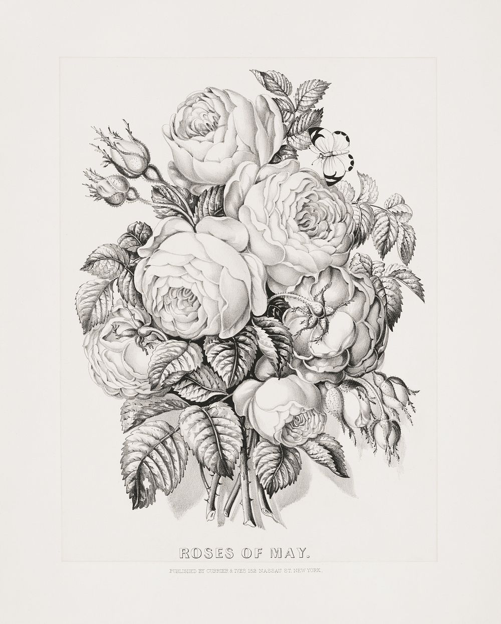 Rose of May (1870) by Currier & Ives. Original public domain image from the Library of Congress. Digitally enhanced by…