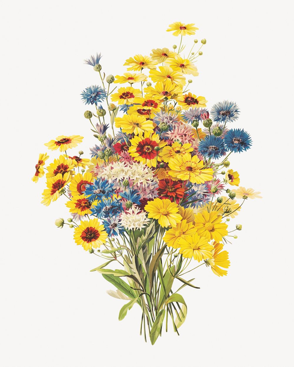 Yellow flower bouquet, vintage botanical illustration.   Remastered by rawpixel