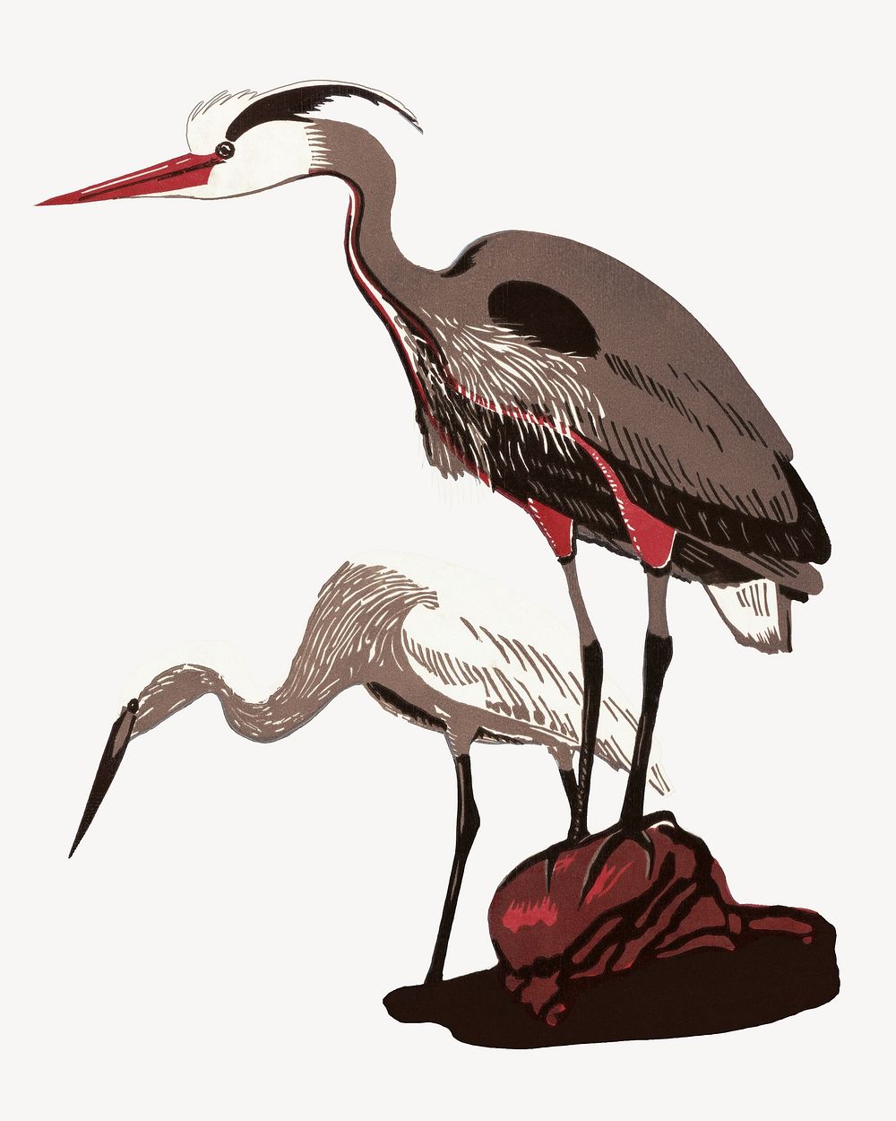 Heron bird, vintage animal illustration.   Remixed by rawpixel.