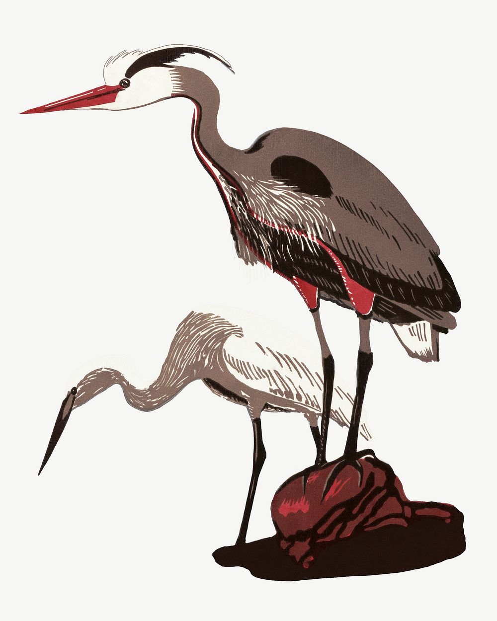 Heron bird, vintage animal collage element psd.   Remixed by rawpixel.