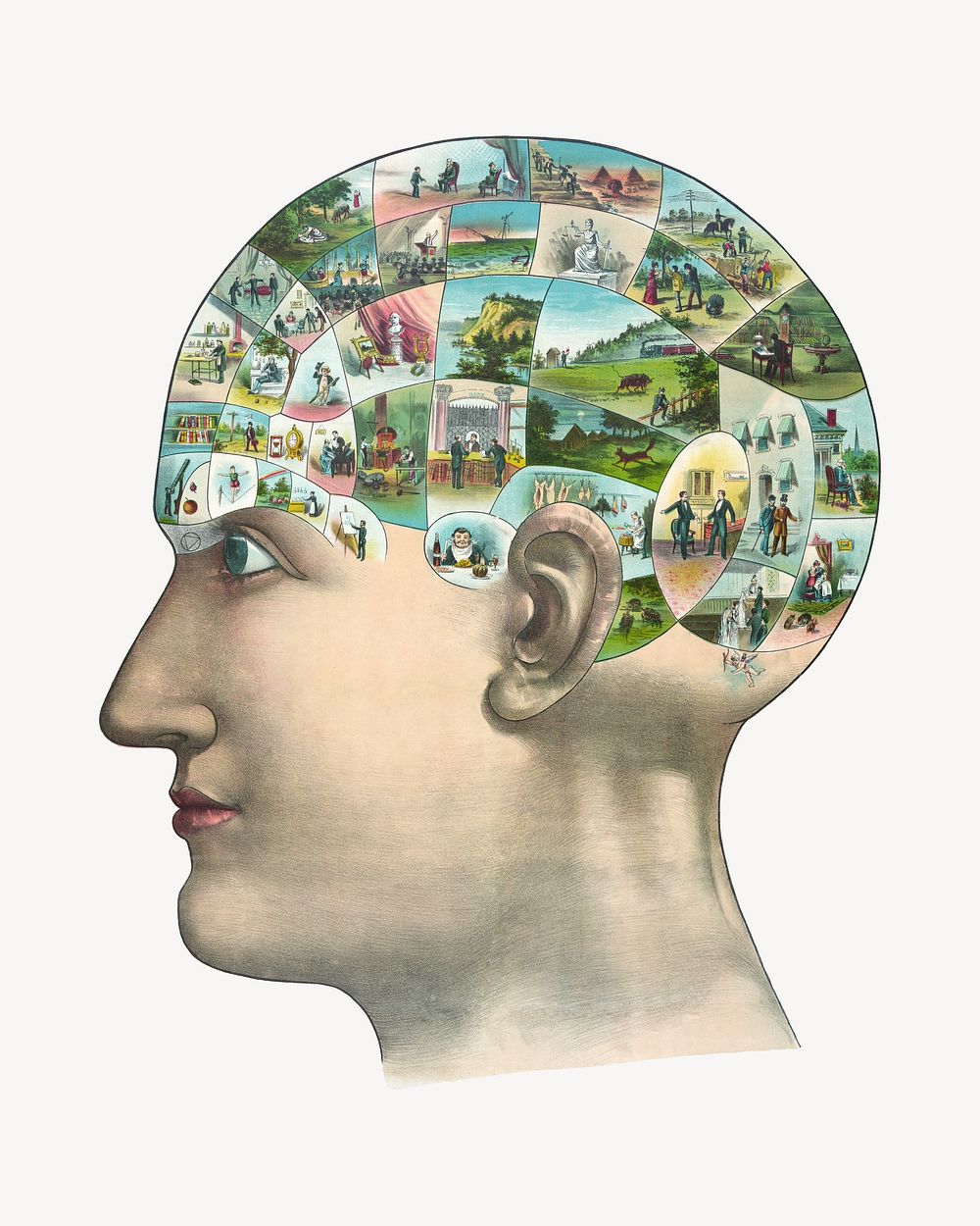 Human mind illustration.  Remixed by rawpixel.