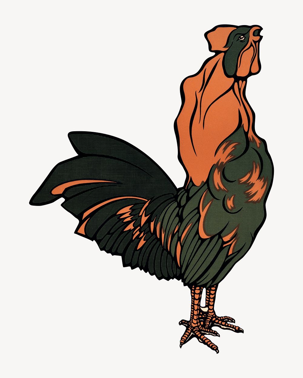 Vintage rooster, animal illustration.  Remixed by rawpixel.