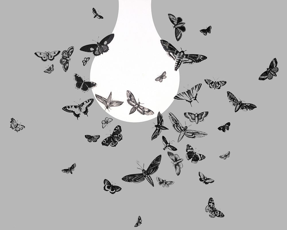 Moths and light bulb illustration. Original public domain image from the Library of Congress. Remastered by rawpixel.