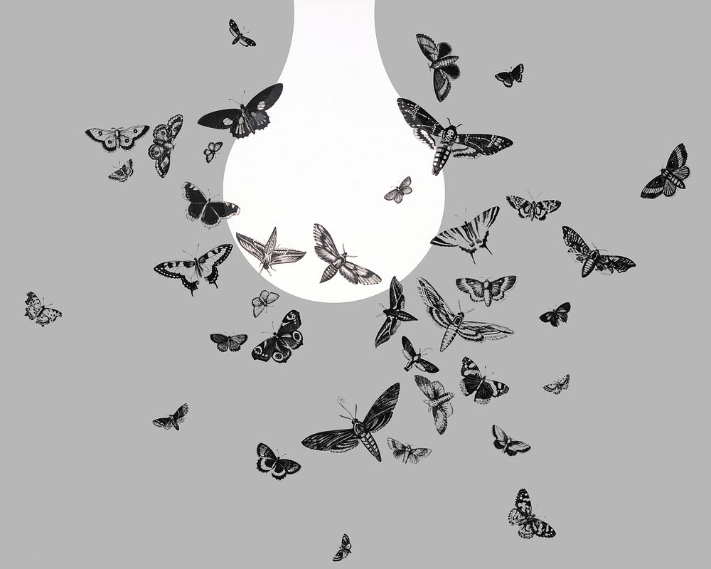 Moths and light bulb clipart psd. Original public domain image from the Library of Congress. Digitally enhanced by rawpixel.