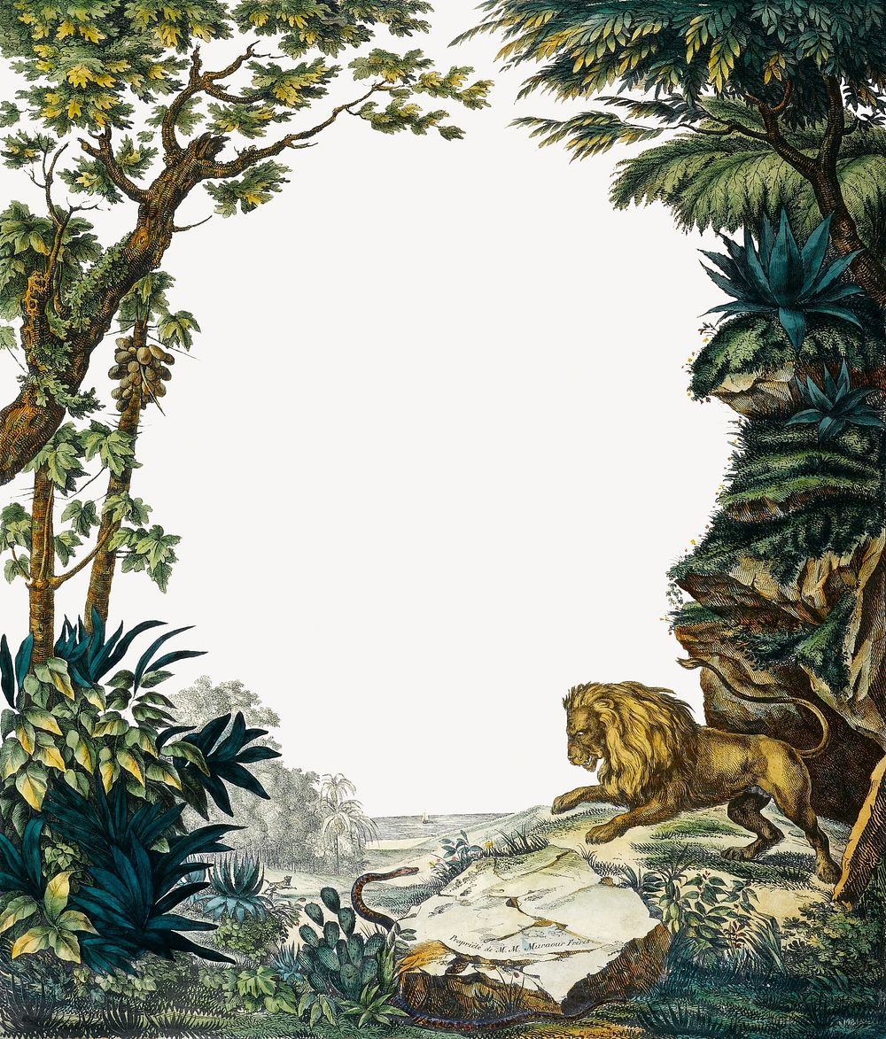 Vintage forest frame, vintage lion illustration.   Remixed by rawpixel.