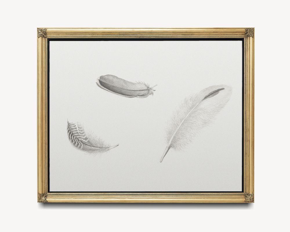 Feather illustration in golden frame