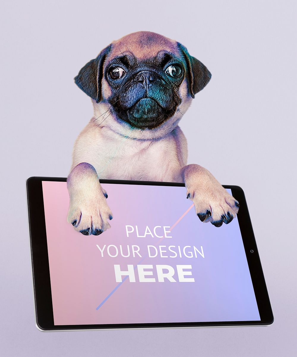 Adorable pug puppy with a digital tablet mockup