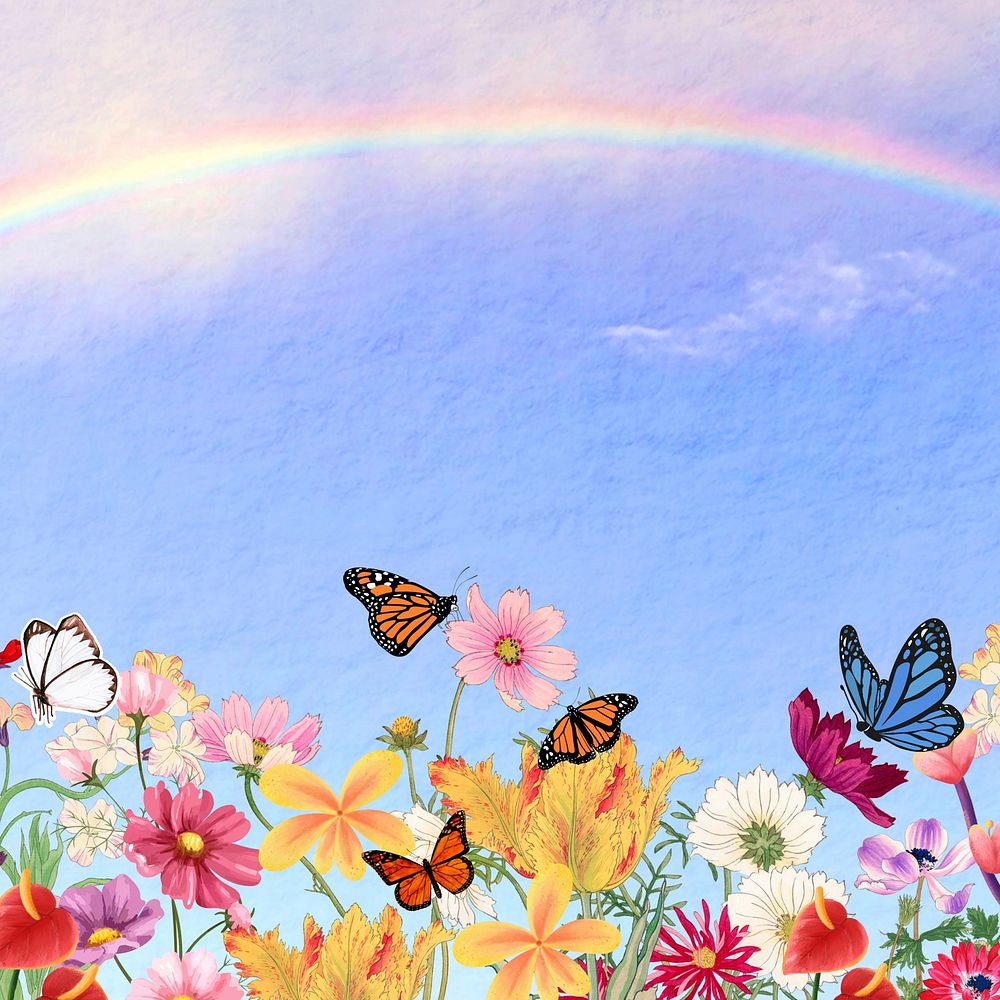 Aesthetic rainbow sky background, flowers & butterfly design