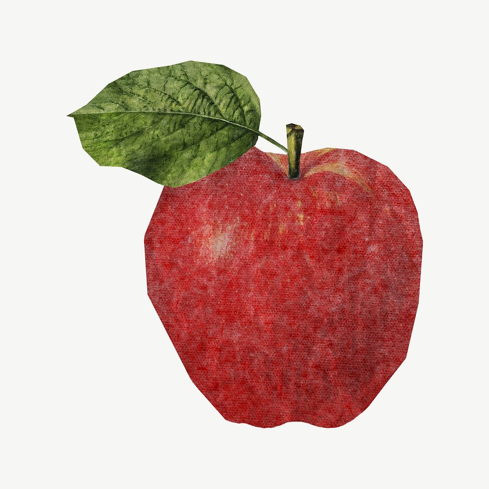 Apple, journal collage element psd
