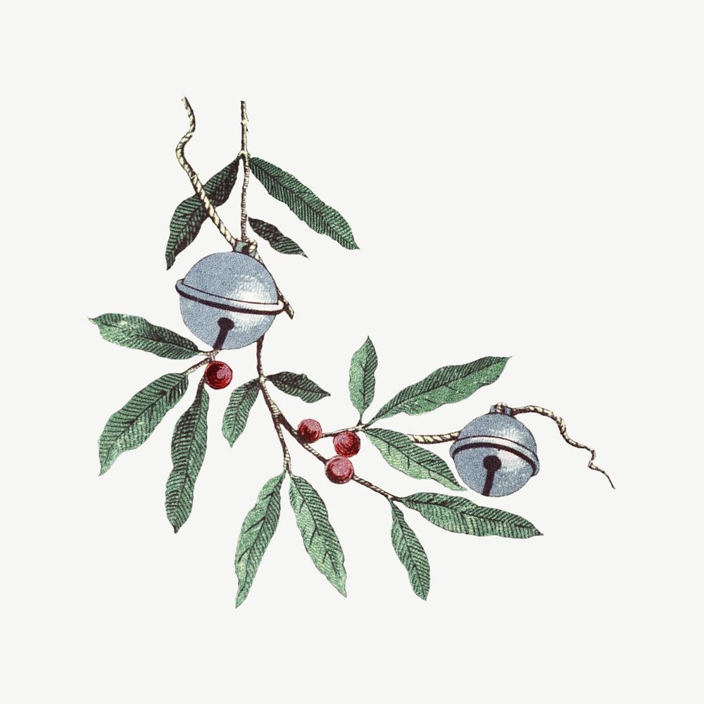 Holly branch, festive collage element psd