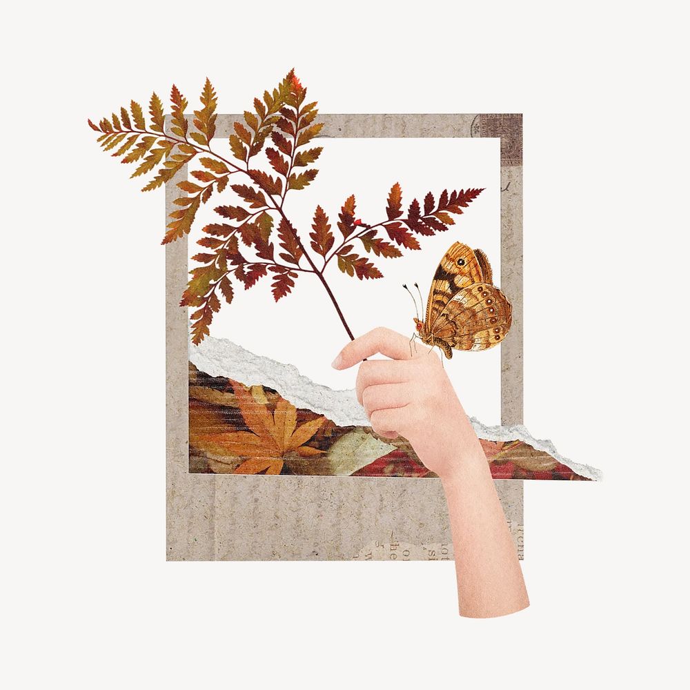 Fall leaf instant film frame