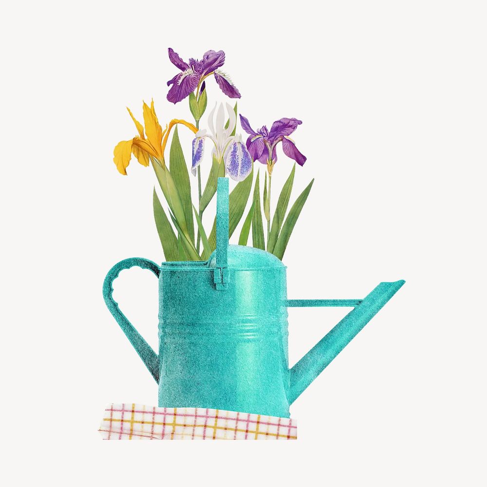 Purple and yellow iris in teal watering can remix illustration