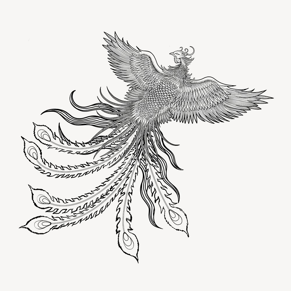 Ancient phoenix bird, Chinese mythical creature illustration