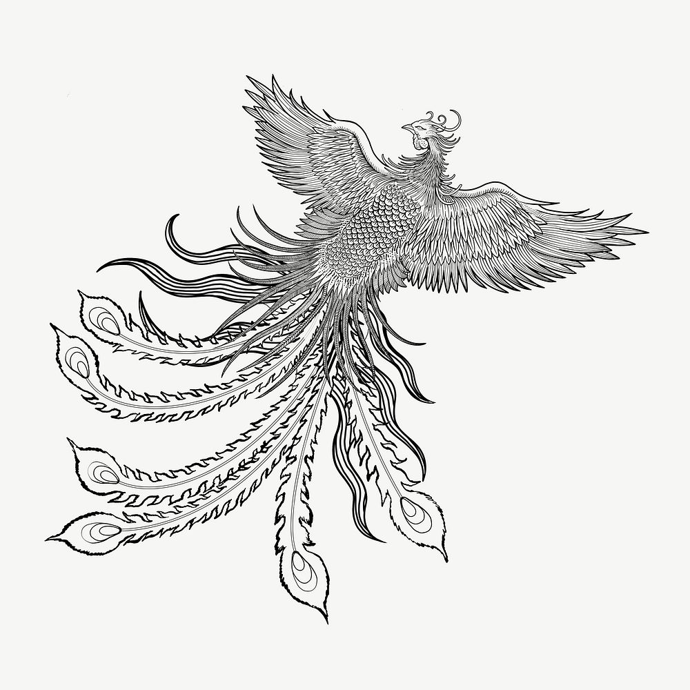 Ancient phoenix bird, Chinese mythical creature illustration psd