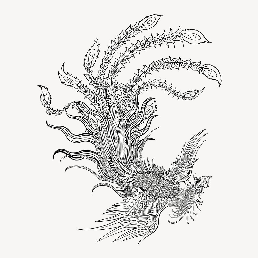 Ancient phoenix bird, Chinese animal tattoo