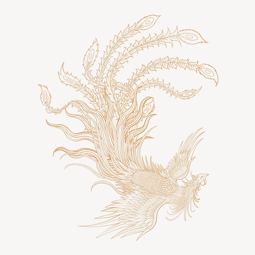 Gold phoenix bird, Chinese mythical creature illustration