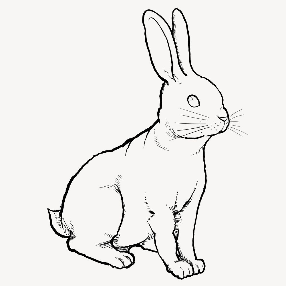 Rabbit, Chinese zodiac animal in line art design