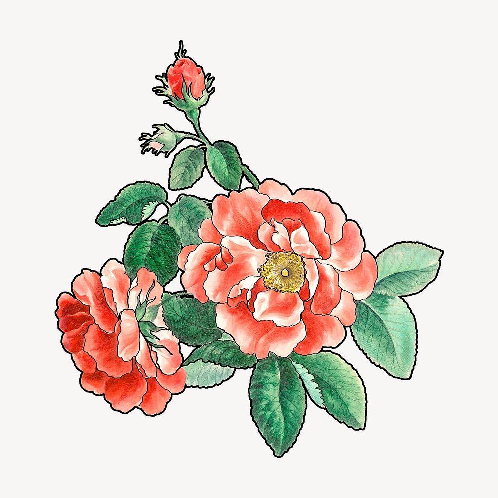 Red rose illustration, remixed by rawpixel