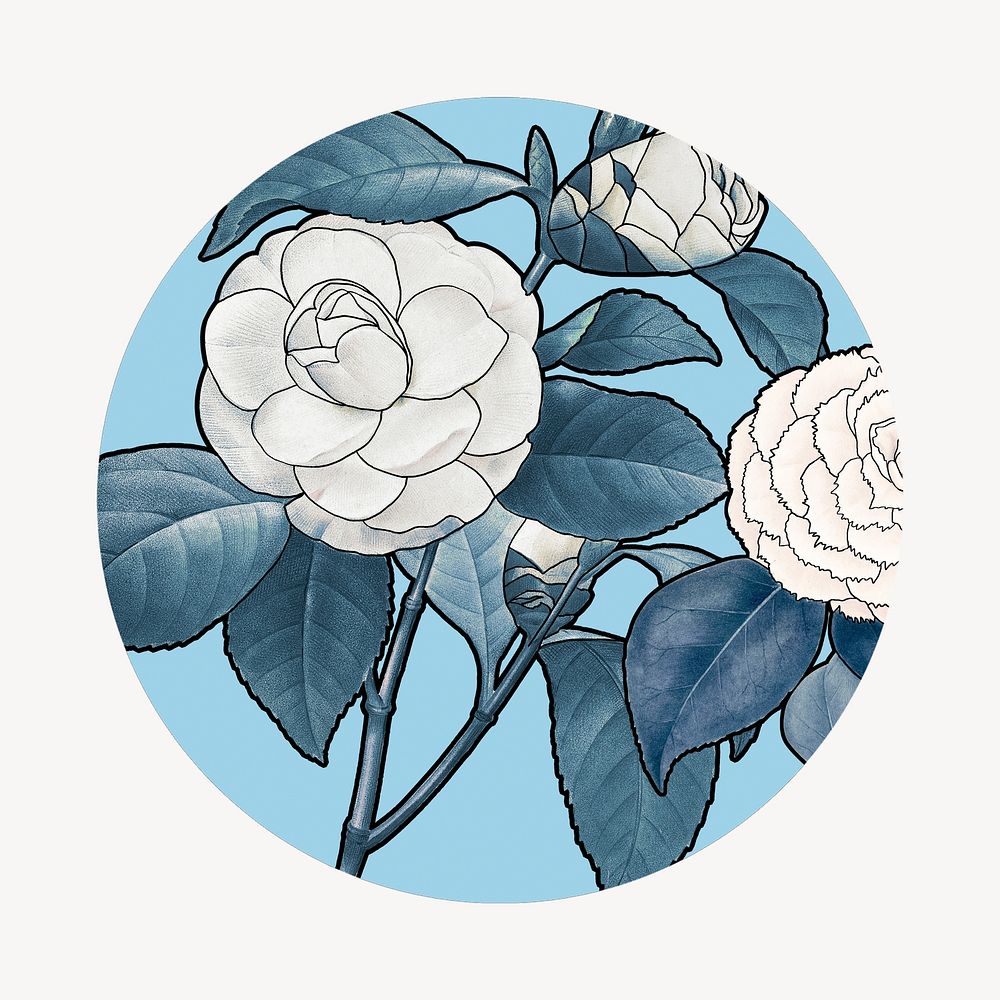 White camellia illustration, remixed by rawpixel