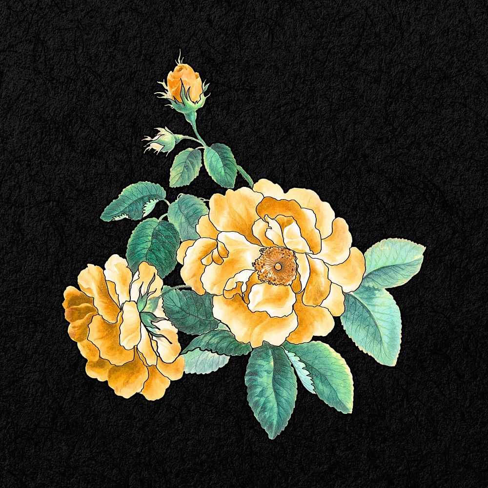 Yellow rose clipart psd, remixed by rawpixel
