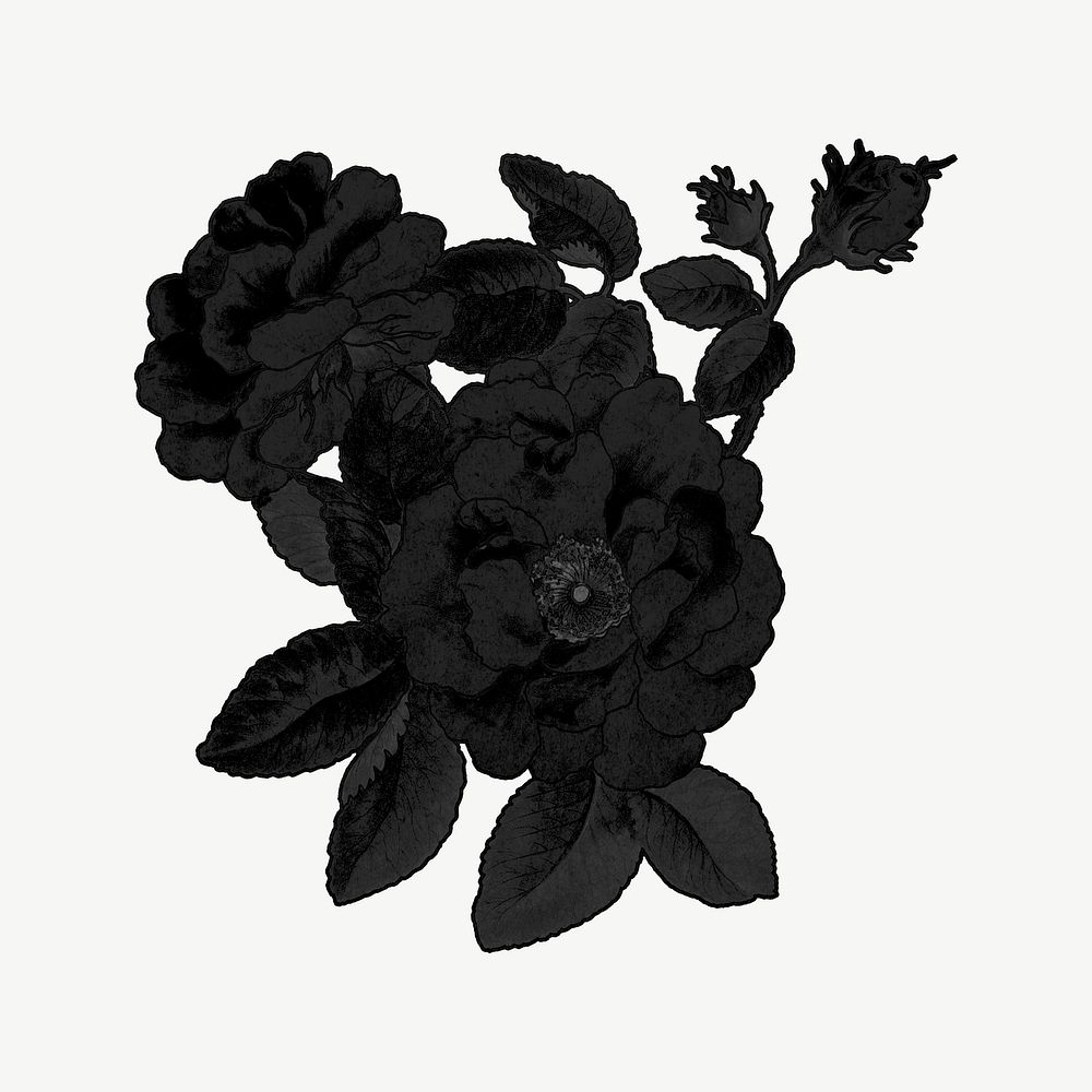 Black rose clipart psd, remixed by rawpixel