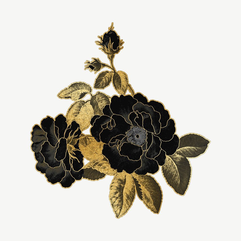 Black rose clipart psd, remixed by rawpixel