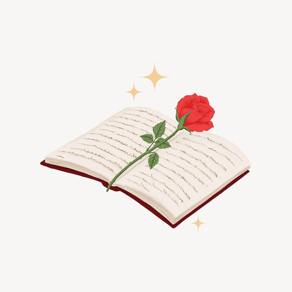 Romance fiction, rose on opened book drawing