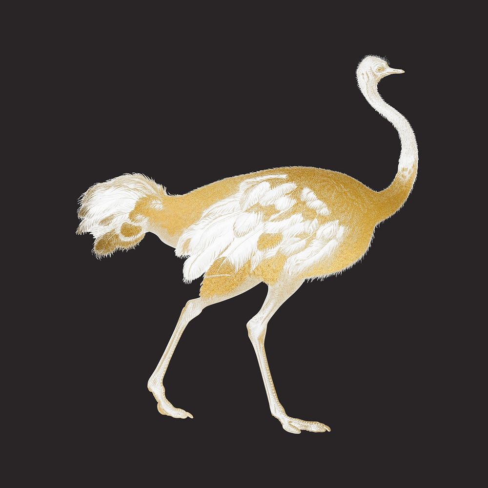 Gold ostrich, vintage animal collage element psd