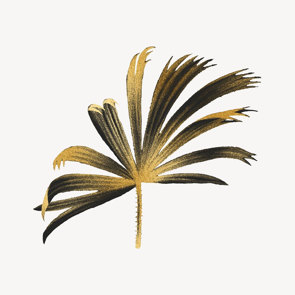 Gold mangrove fan palm leaf illustration