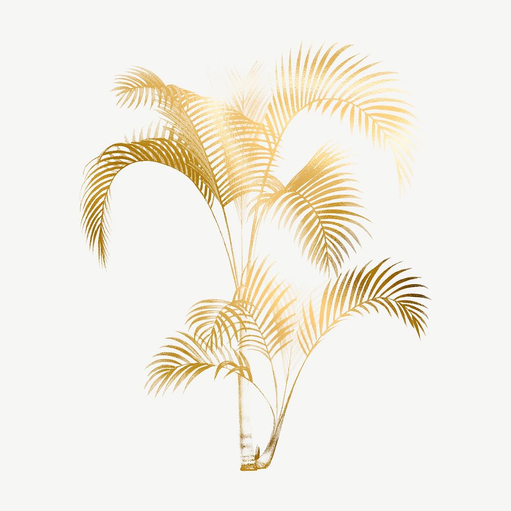Gold palm tree clipart psd