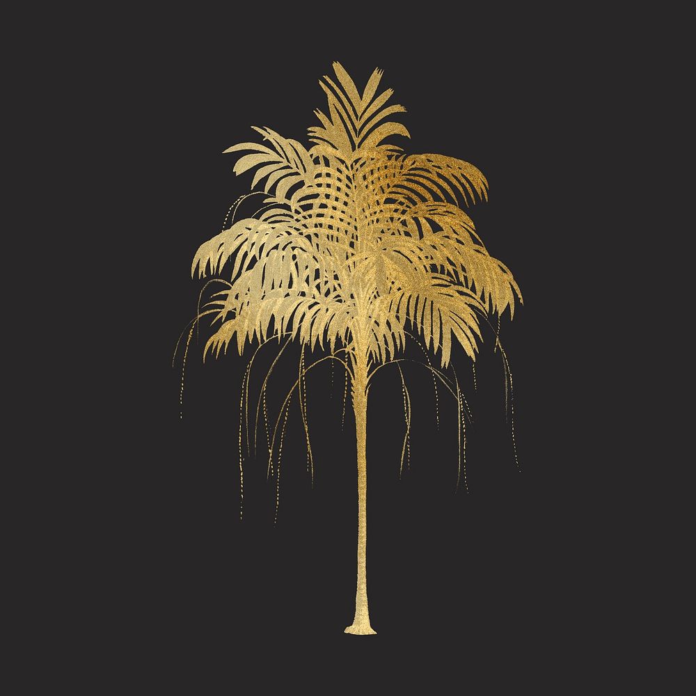 Aesthetic gold palm tree illustration