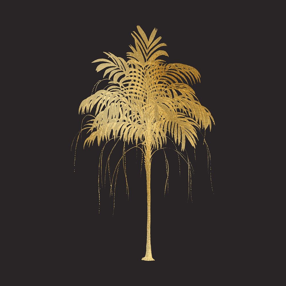 Gold palm tree clipart psd