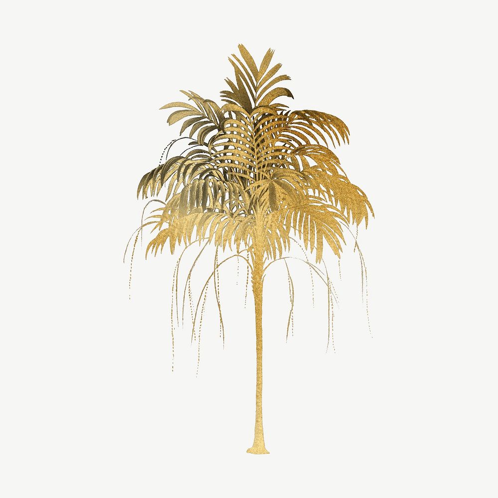 Aesthetic gold palm tree clipart psd