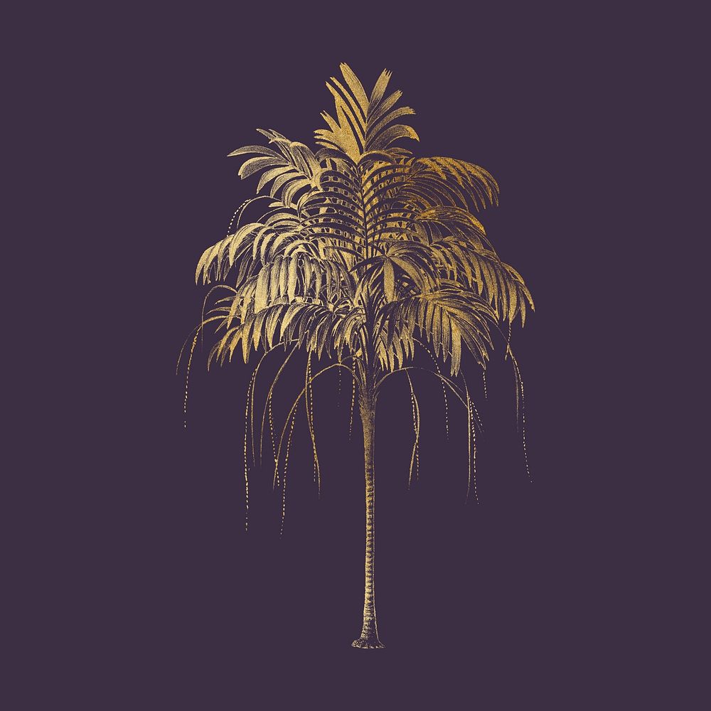 Aesthetic gold palm tree illustration