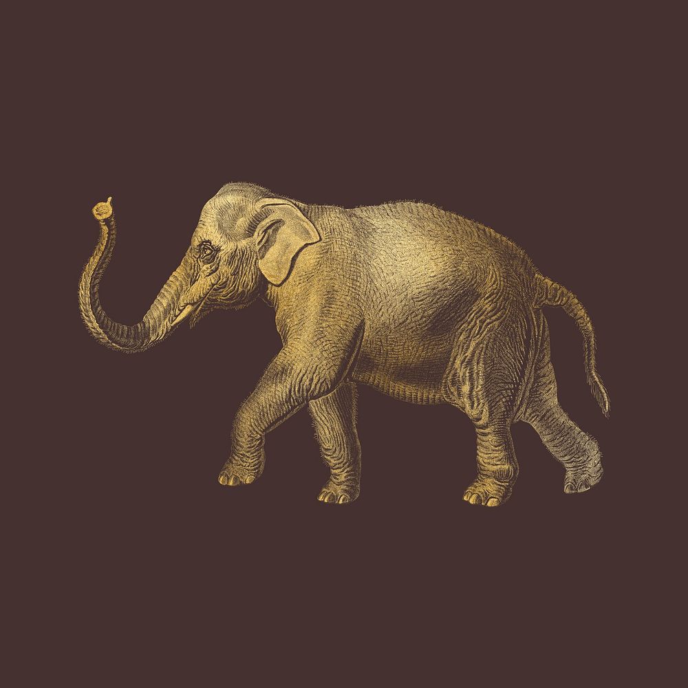 Gold elephant, vintage wildlife collage element psd