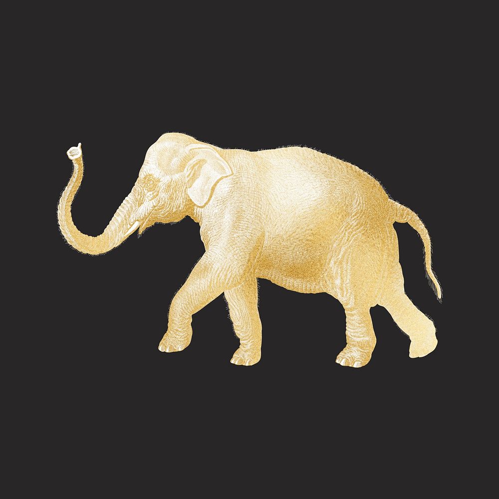 Gold elephant, vintage wildlife collage element