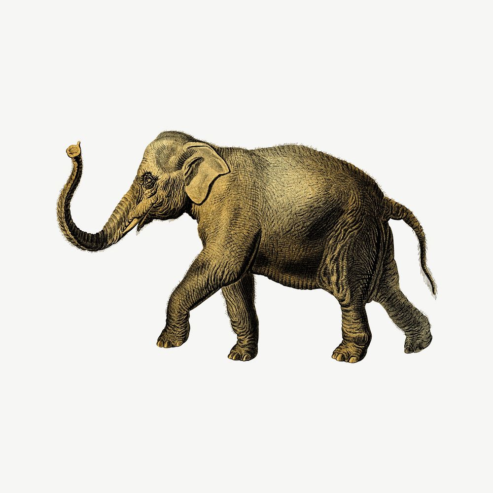 Gold elephant, vintage wildlife collage element psd