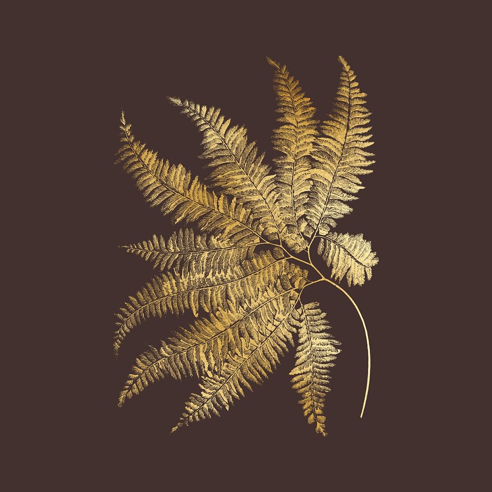 Gold fern leaf illustration