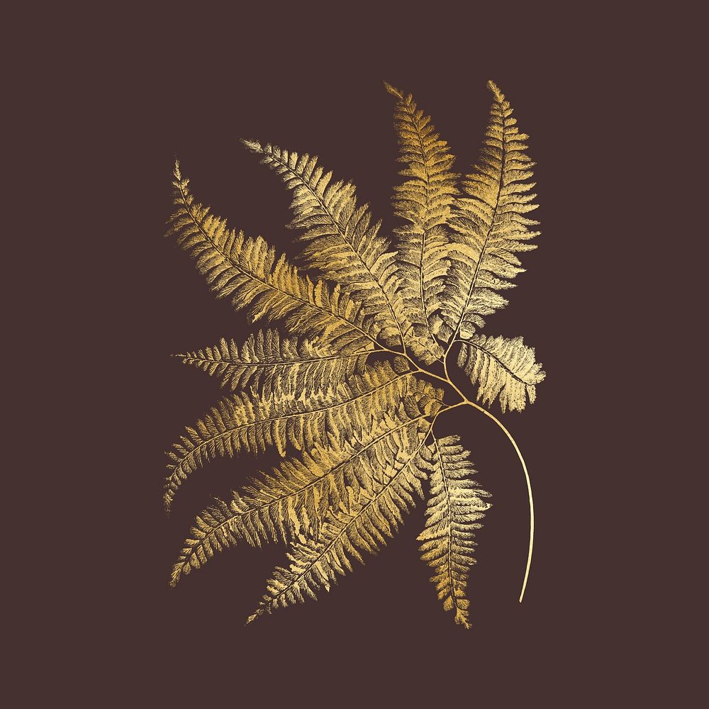Gold fern leaf clipart psd