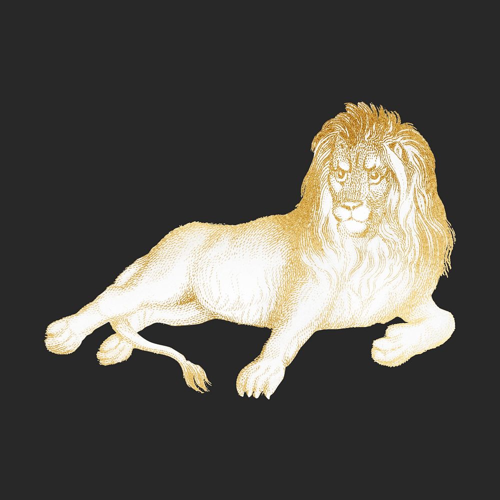 Golden lion, wildlife collage element