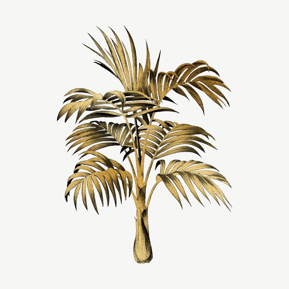 Aesthetic gold palm tree clipart psd