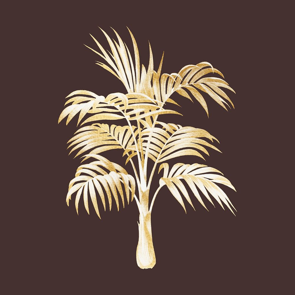 Gold palm tree clipart psd