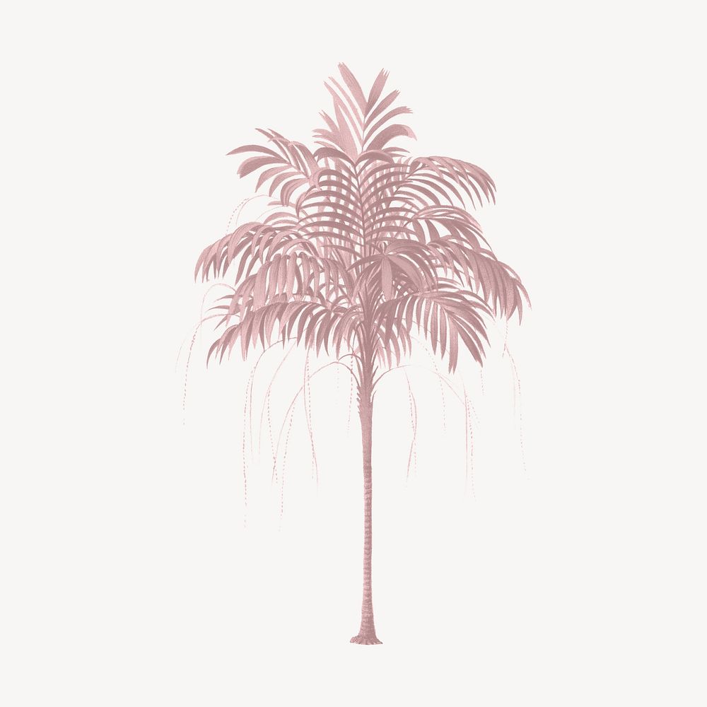 Red palm tree illustration