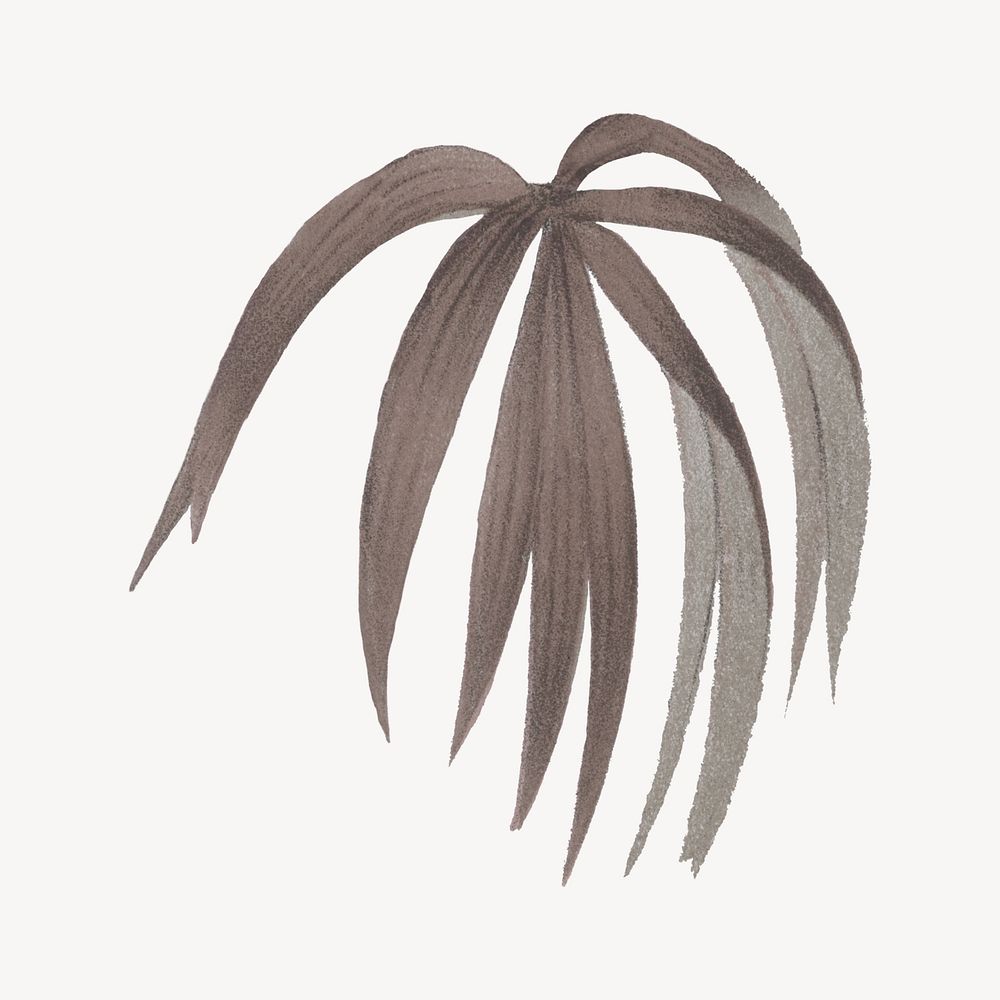Vintage palm leaf illustration