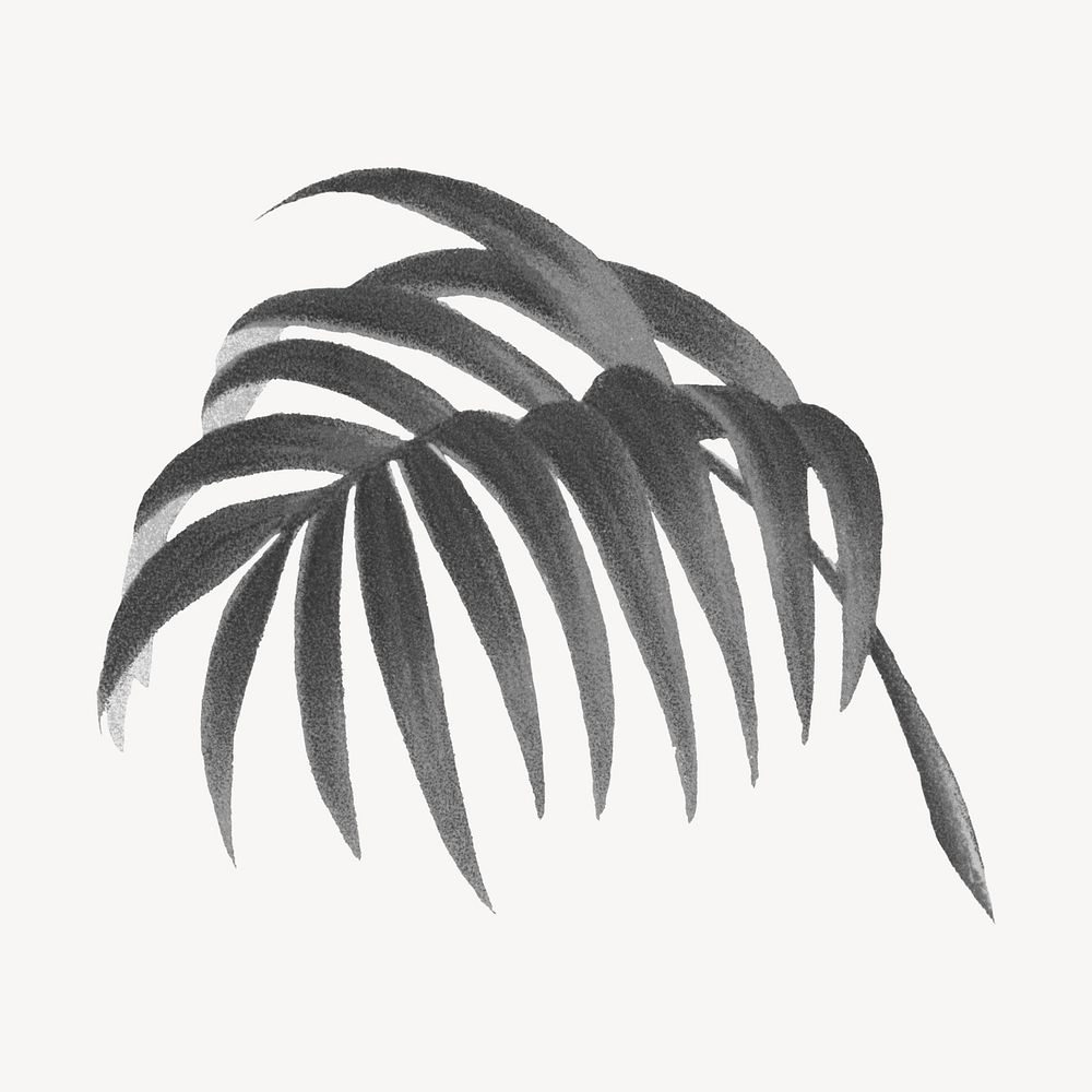 Black palm leaf illustration