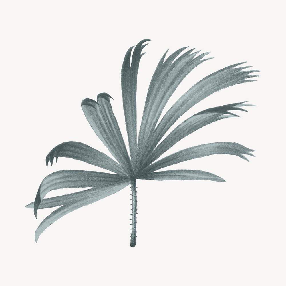 Vintage palm leaf illustration