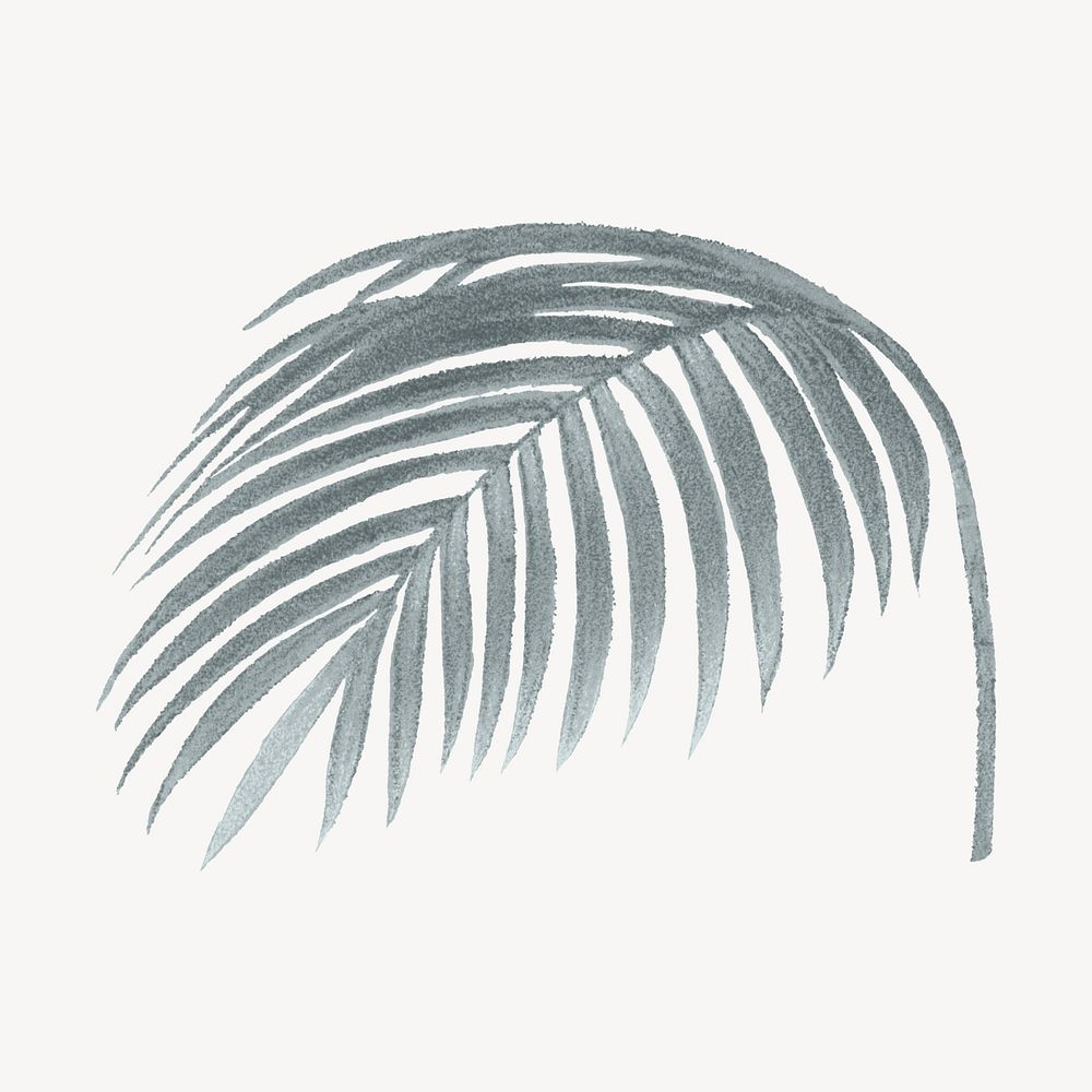 Palm leaf drawing, tropical illustration