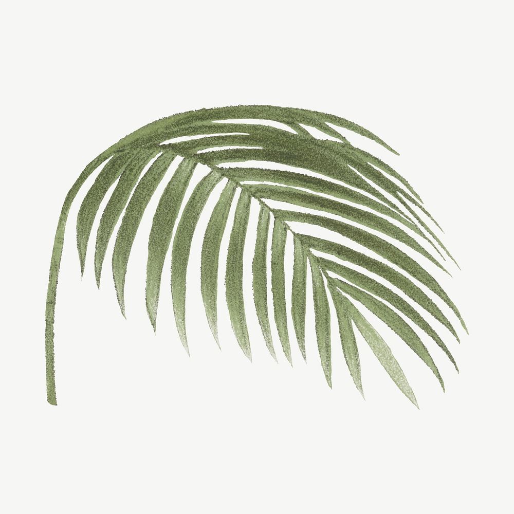 Vintage palm leaf clipart psd