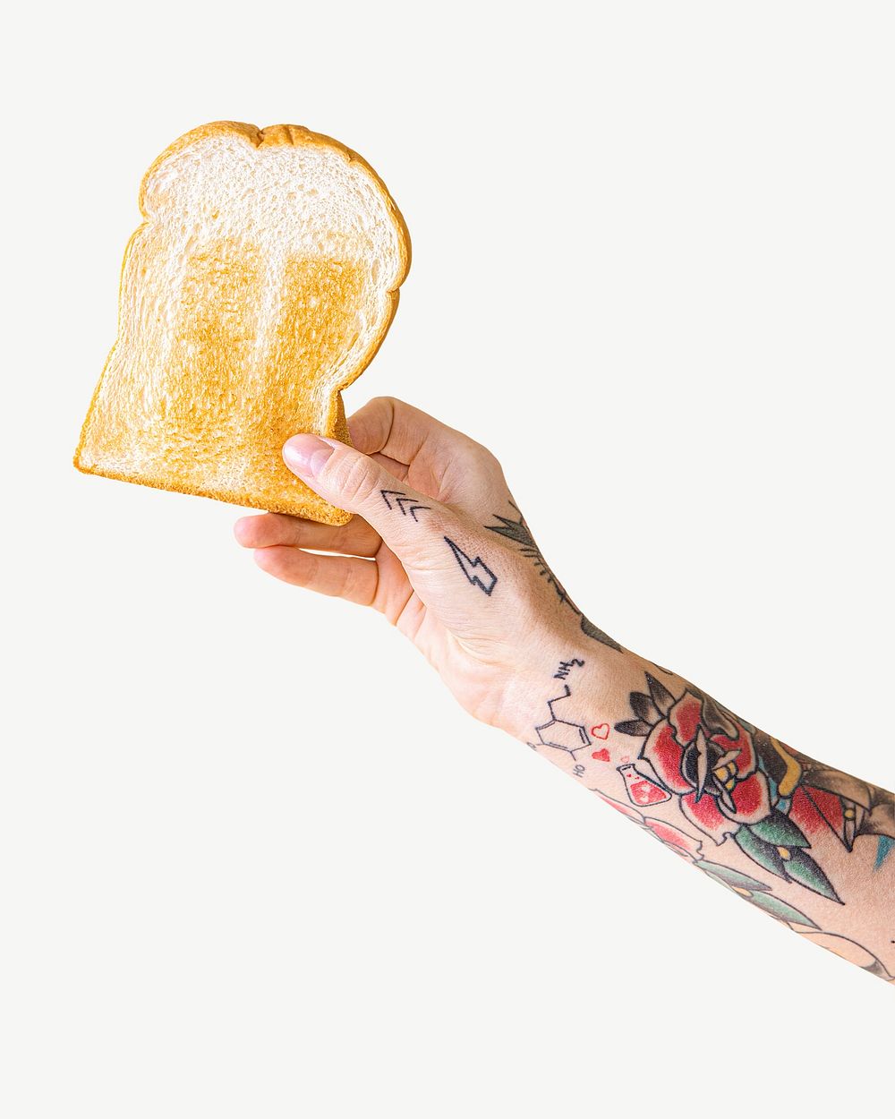 Hand with tattooed holding toasted bread psd