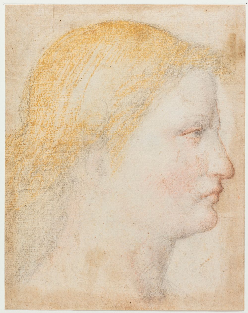 Female profile by Bernardino Luini